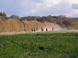 IMG_9795web